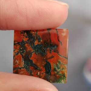 cabujón ágata musgo roja 20mm